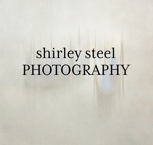 Shirley Steel's Blog Logo